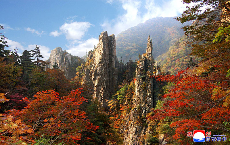 Mt Kumgang, world cultural and natural heritage (2) <br>Rich biodiversity adds more beauty to celebrated mountain</br>
