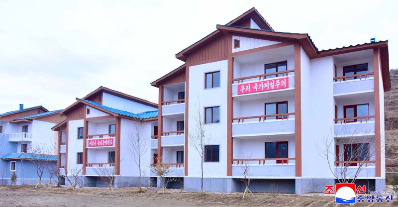 New houses built at farms in South Phyongan Province 