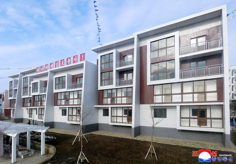 New houses, public and production buildings built at farms