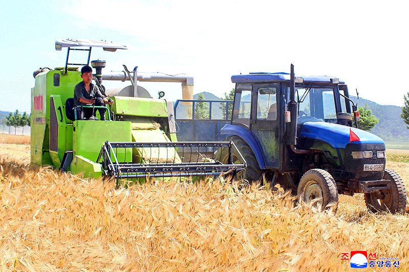 New history of socialist rural construction (1)