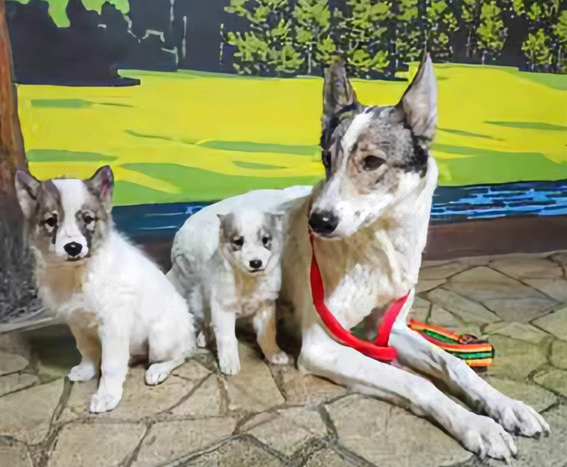 New residents in Central Zoo