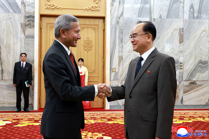 SPA Standing Committee chairman meets Singaporean foreign minister