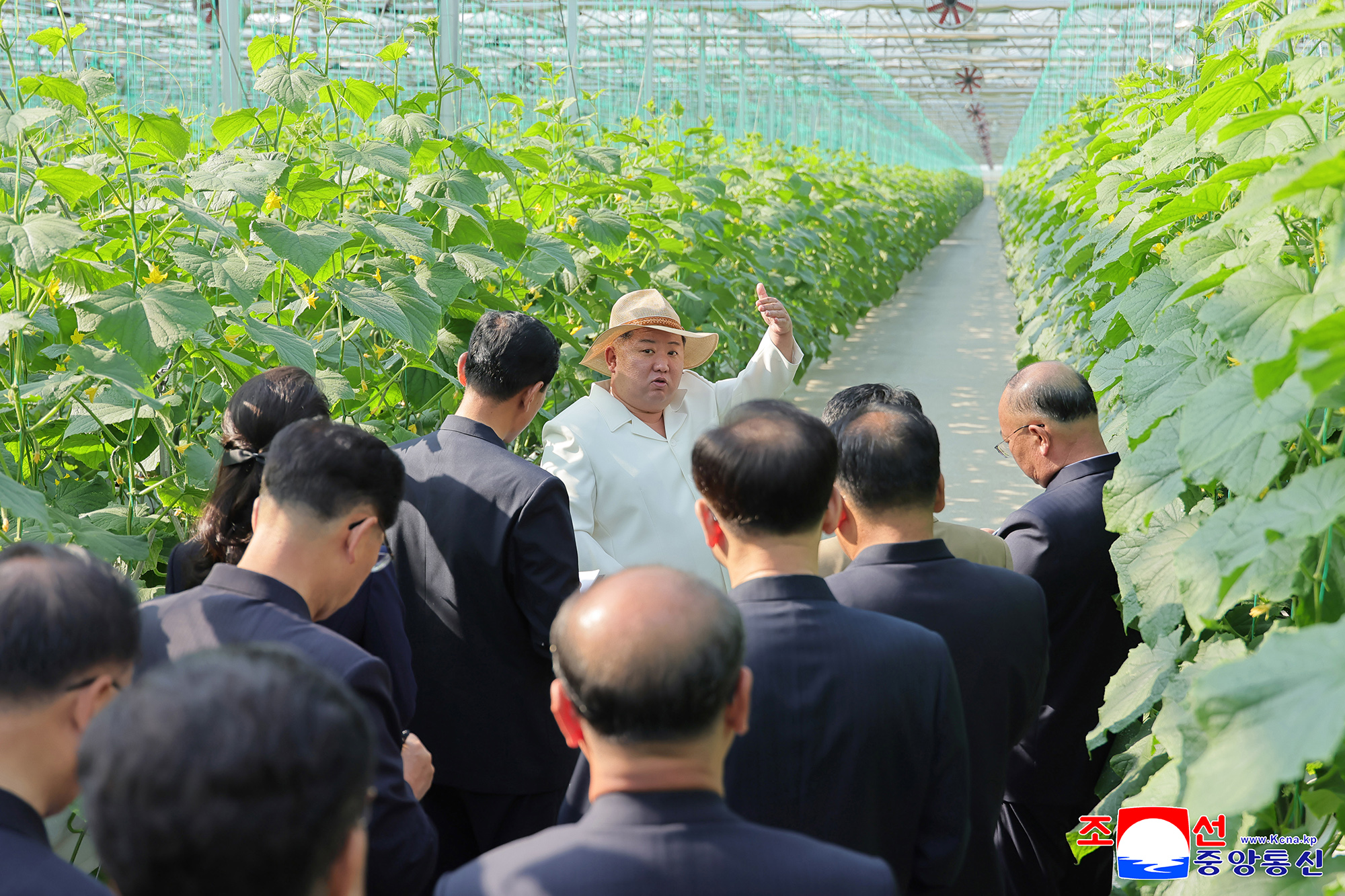 Respected Comrade Kim Jong Un inspects Sinuiju Combined Greenhouse Farm