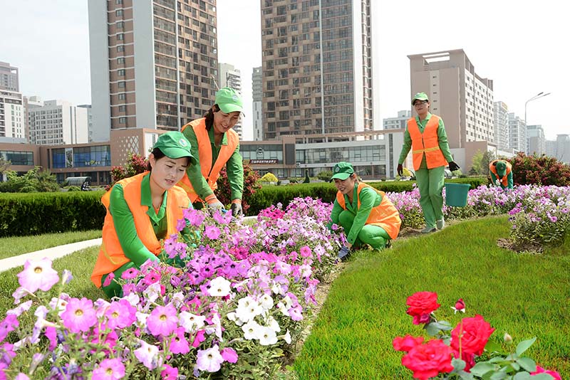 Gardeners of new streets