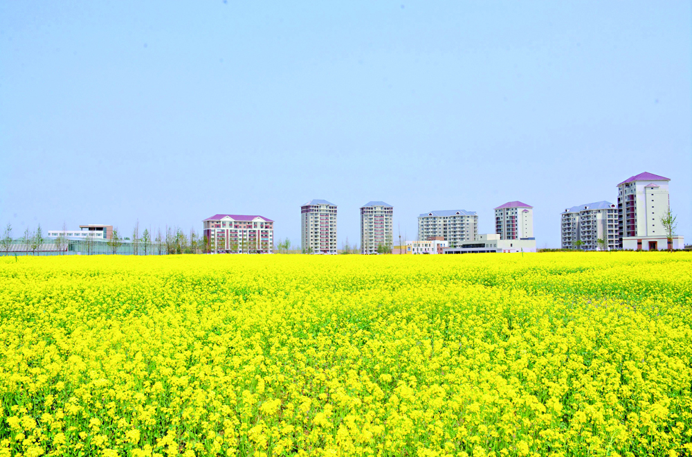 New landscape created on Wihwa Island