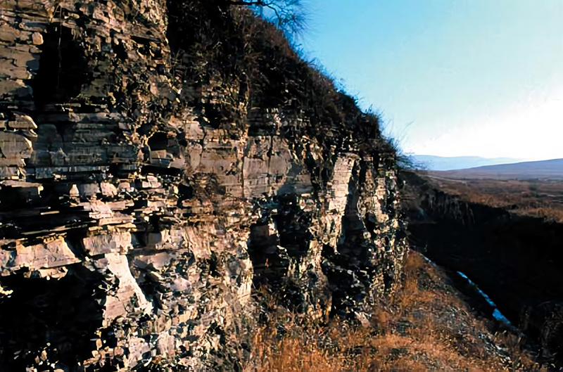 Natural monument—Fossil <i>Onsongia</i> bed 