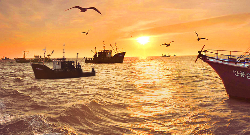 Success expanded in fish catch