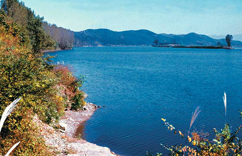Natural monument Lamprotula polysticta of Taedong River