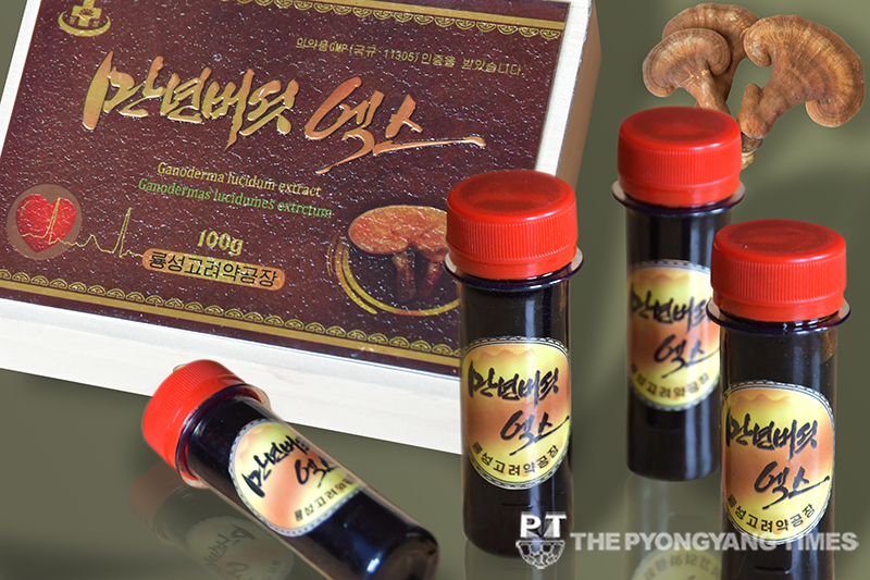 Story about development of Ganoderma extract